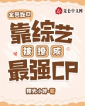 全员吃瓜,靠综艺被撩成最强CP免费