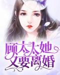顾夫人她又要离婚了免费全文