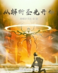 从解析圣光开始小说
