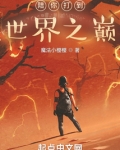 陪你打到世界之巅