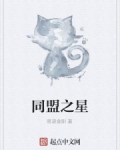 同盟之星小说