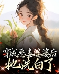 穿成恶毒婆婆的小说