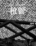 国土防线2为什么差评