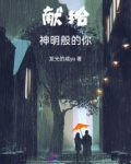 献给神明般的你攻略