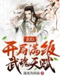 玄幻:开局满级武魂天赋 小说
