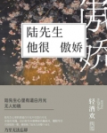 陆先生他最苏了