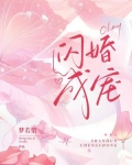 闪婚成宠老公竟是千亿大佬免费阅读全文第十四章