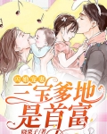 三宝胎总裁爹地超给力