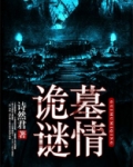 诡墓谜情 小说