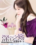 电视连续剧深宅怨