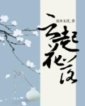云起花落时小说