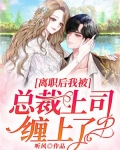 离职后我被前总裁惦记了
