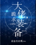 大佬，跪求装备！[星际]