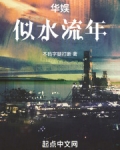 似水年华流年的小说