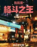 我就是格斗之王笔趣阁