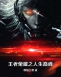 王者荣耀之人生巅峰下载