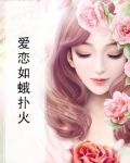 爱恋如蛾扑火