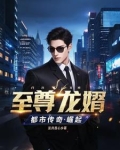 至尊龙婿章节目录