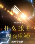 什么球王,叫我球神txt