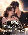 离婚后我继承了亿万家产小说