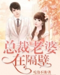 总裁老婆在酒店当迎宾什么电视剧