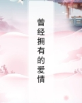 曾经拥有过的爱情