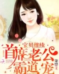 首席老公霸道宠:宝贝,继续