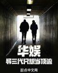 华娱娱乐导演小说