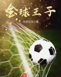 金球王子 笔趣阁