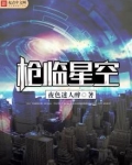 枪临星空 小说