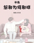 半岛:怒那为何那样小说