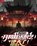 四合院开局就送厨艺逆天了