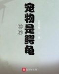 我的宠物是鳄龟五彩贝壳