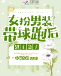 女扮男装带球跑系列小说