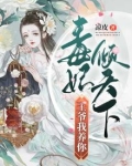 毒妃倾天下:王爷我养你