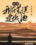 我在大汉基建25