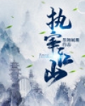 执宰天下简介
