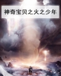 神奇宝贝之火之少年