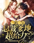 一胎二宝：总裁爹地超给力