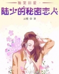独宠旧爱陆少的秘密正版小说
