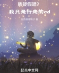 质疑假唱？我只是行走的cd