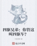 四驱兄弟：你管这叫四驱车？