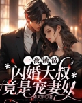 一夜闪婚,总裁的撩妻日常