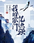玄幻我的宗门亿点强境界等级