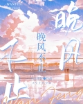 晚风不止全文免费阅读