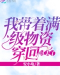 我带着满级物资穿回过去了 小说 免费