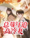 离婚后总裁狂追妻全文阅读