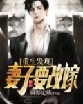 都市重生后找前世的妻子