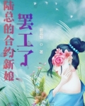 陆总的合约新娘全文免费