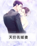 天价宠妻是谁